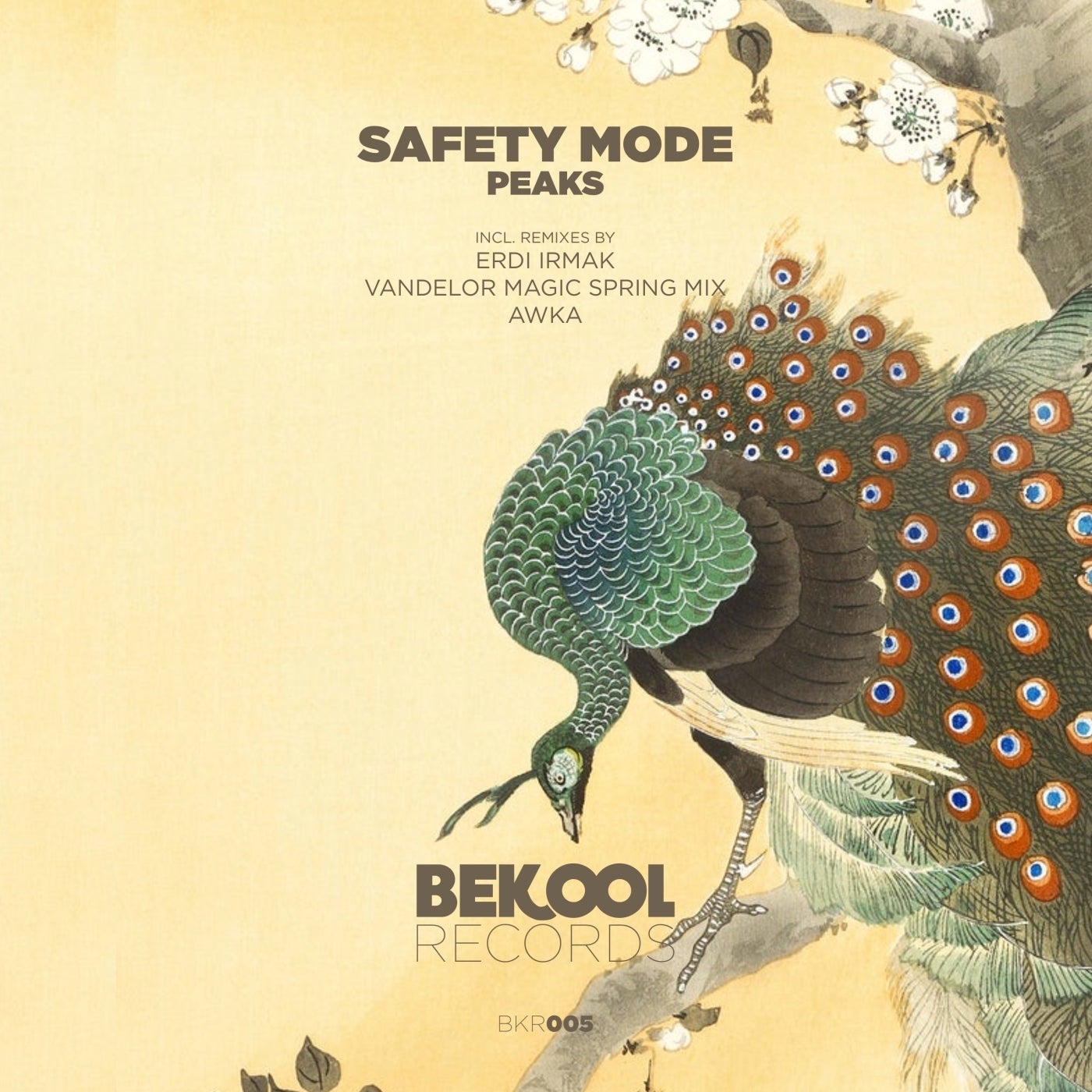 Safety Mode - Peaks [BKR005]